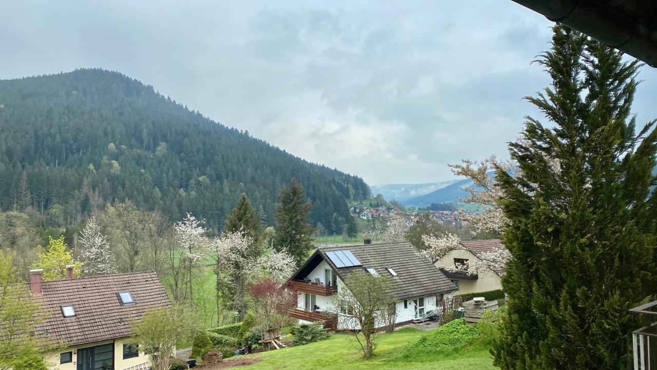 Black Forest Scenic Escape Baiersbronn Extérieur photo